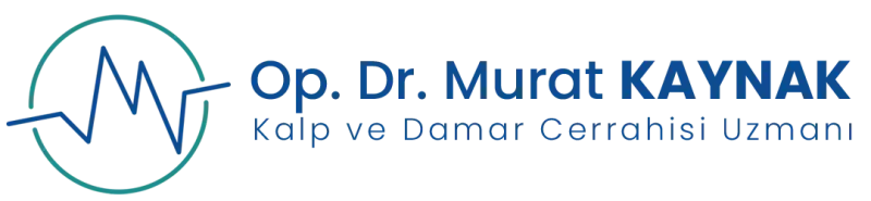Web Tasarımı ve SEO ile Online Görünürlüğünüzü Artırın